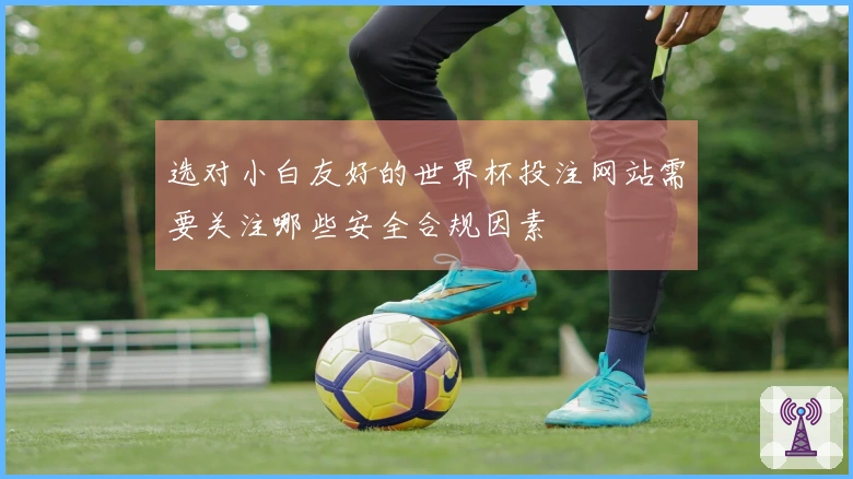 选对小白友好的世界杯投注网站需要关注哪些安全合规因素