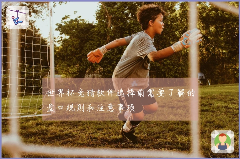 世界杯竞猜软件选择前需要了解的盘口规则和注意事项