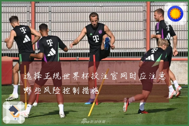 选择正规世界杯投注官网时应注意哪些风险控制措施