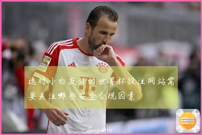 选对小白友好的世界杯投注网站需要关注哪些安全合规因素